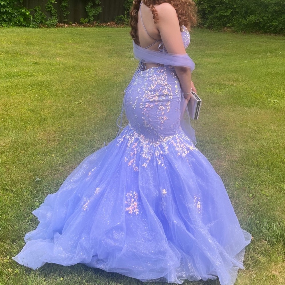 Prom Dress - Picture 3 of 6